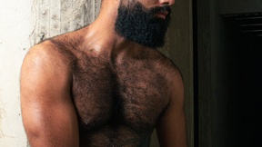 beardandrew