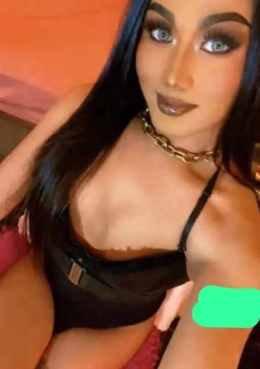 CattyFox