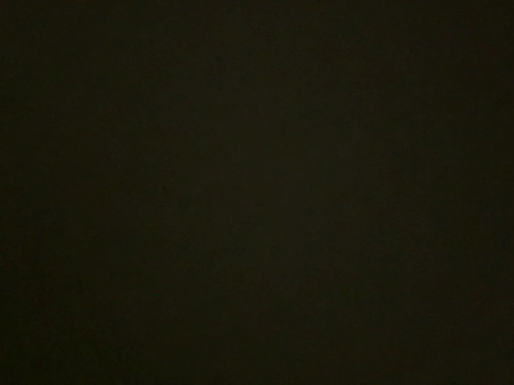 Cha534