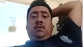 danychuby