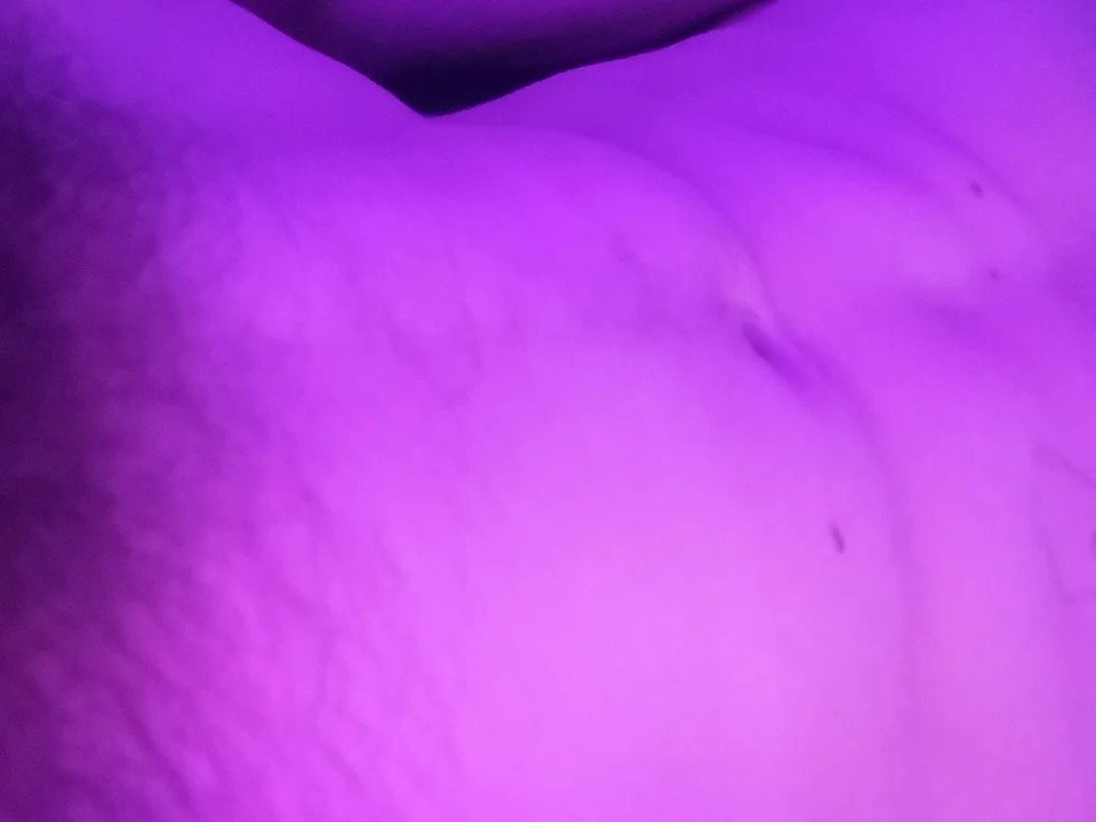 Icecemarr