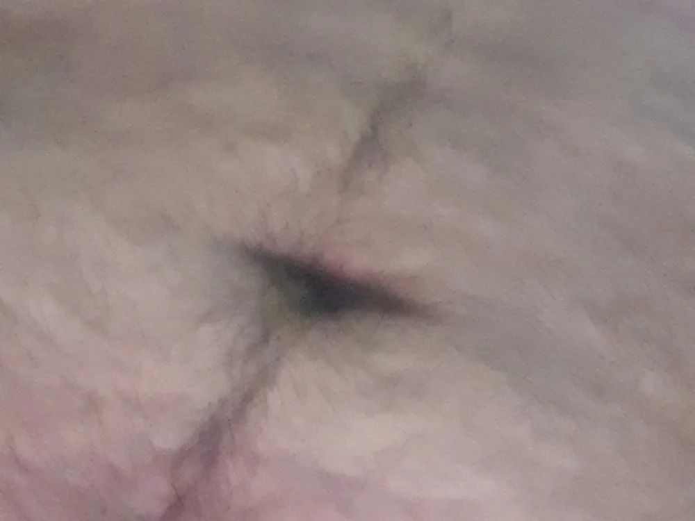 Neel_Neel