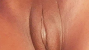 sexijelli