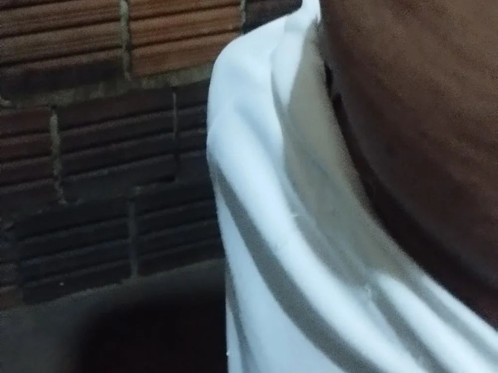 assis0084