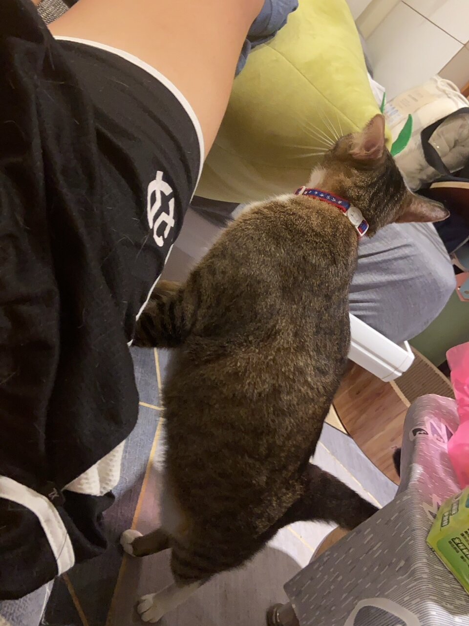 bigbb101011