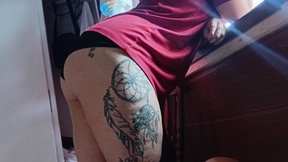 brisasafada