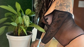 charlotedoll