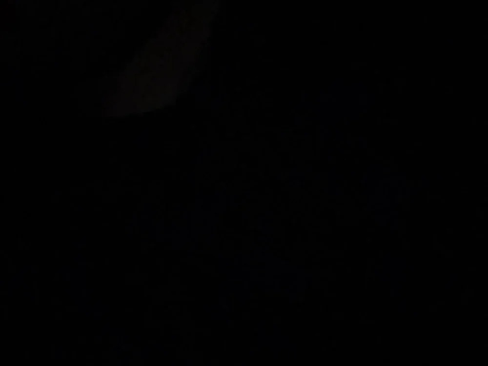 davidisdaddy